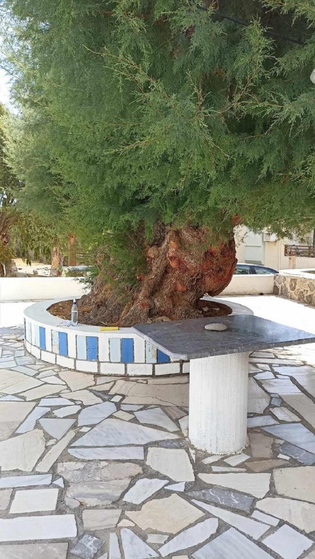 La Casa Azul - Blue House Daire Sitia  Dış mekan fotoğraf